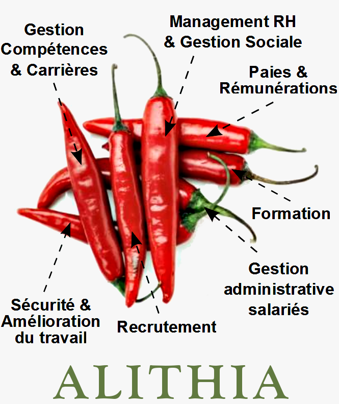 30 Janvier : Speed Dating de l’Achat Formation, Rencontres entre Acheteurs et Organismes de formation